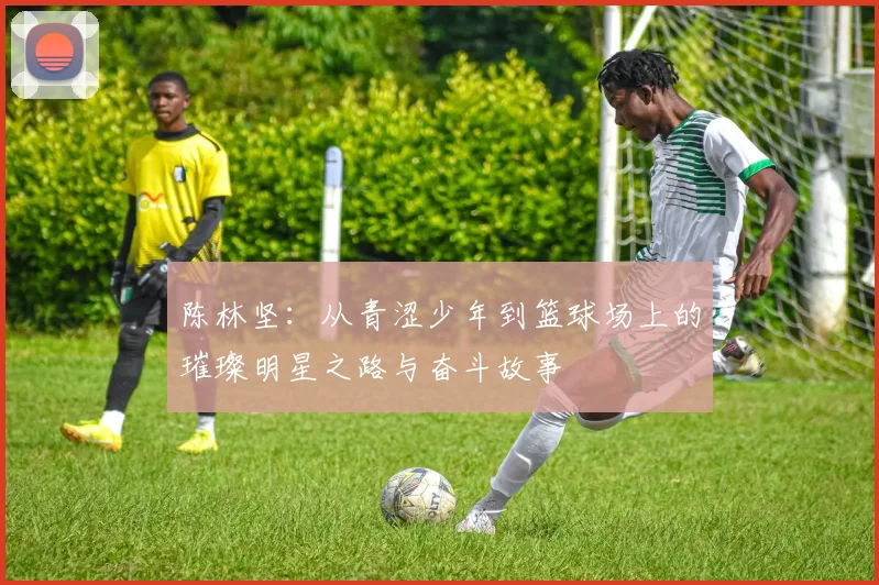 陈林坚：从青涩少年到篮球场上的璀璨明星之路与奋斗故事