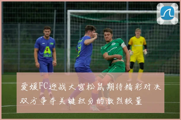爱媛FC迎战大宫松鼠期待精彩对决双方争夺关键积分的激烈较量